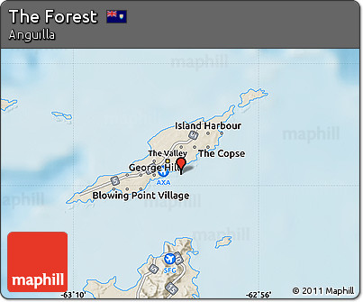 Shaded Relief Map of the Forest