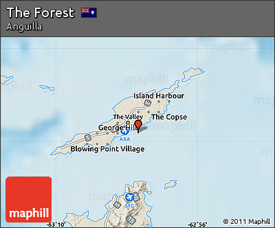 Shaded Relief Map of the Forest