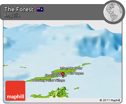Physical Panoramic Map of the Forest