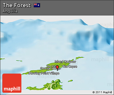 Physical Panoramic Map of the Forest