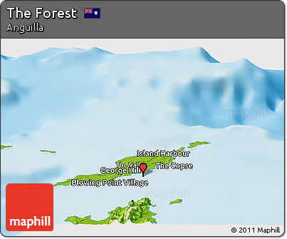 Physical Panoramic Map of the Forest