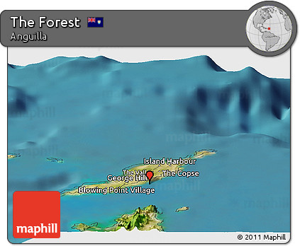 Satellite Panoramic Map of the Forest