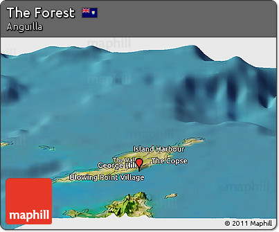 Satellite Panoramic Map of the Forest