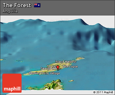 Satellite Panoramic Map of the Forest