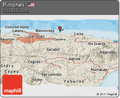 Shaded Relief Panoramic Map of Pinones