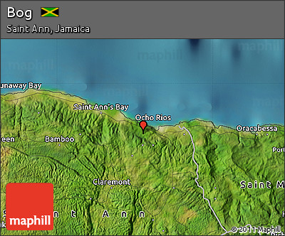 Satellite Map of Bog