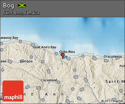 Shaded Relief Map of Bog