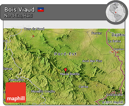 Satellite 3D Map of Bois Viaud