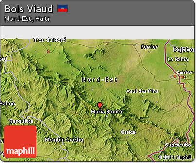 Satellite 3D Map of Bois Viaud