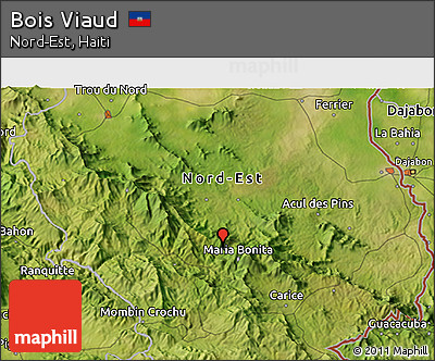 Satellite 3D Map of Bois Viaud