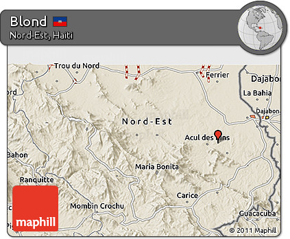 Shaded Relief 3D Map of Blond