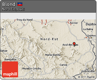 Shaded Relief 3D Map of Blond