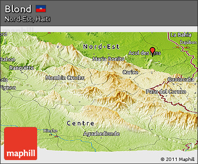 Physical Panoramic Map of Blond