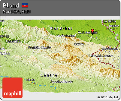 Physical Panoramic Map of Blond