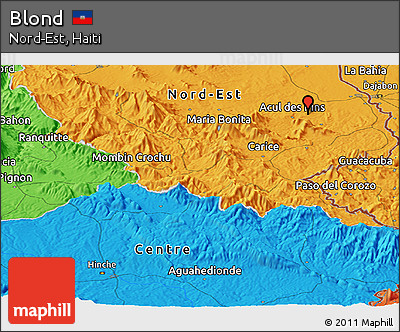 Political Panoramic Map of Blond