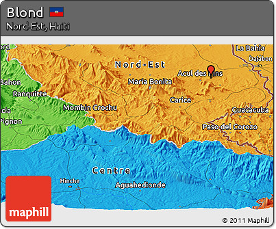 Political Panoramic Map of Blond