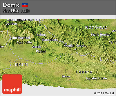 Satellite Panoramic Map of Domic