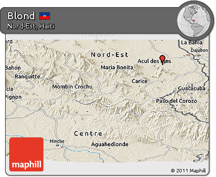 Shaded Relief Panoramic Map of Blond