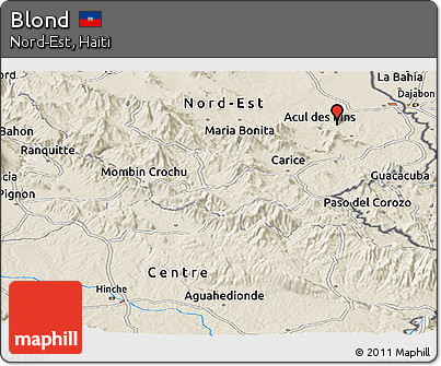 Shaded Relief Panoramic Map of Blond