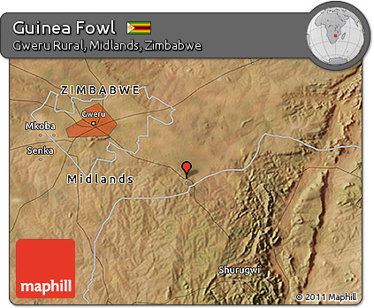 Satellite 3D Map of Guinea Fowl