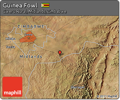 Satellite 3D Map of Guinea Fowl