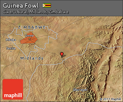 Satellite 3D Map of Guinea Fowl