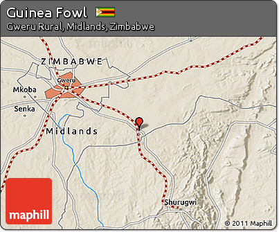Shaded Relief 3D Map of Guinea Fowl