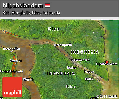Satellite 3D Map of Nipahsiandam