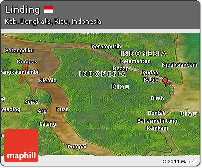 Satellite Panoramic Map of Linding
