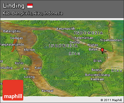 Satellite Panoramic Map of Linding