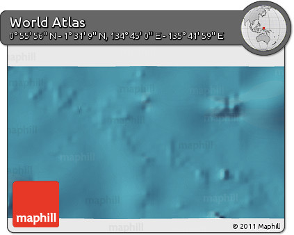 Satellite 3D Map of the Area around 1° 13' 33" N, 135° 13' 29" E