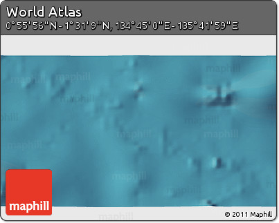 Satellite 3D Map of the Area around 1° 13' 33" N, 135° 13' 29" E