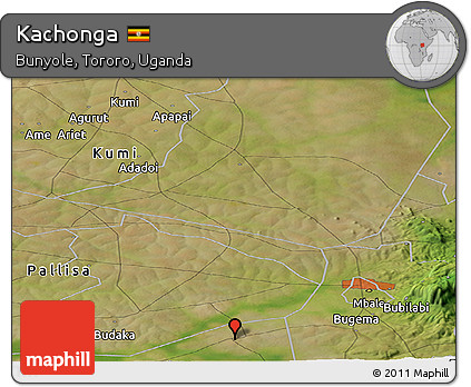 Satellite Panoramic Map of Kachonga