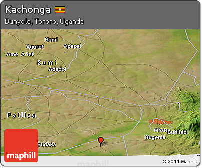 Satellite Panoramic Map of Kachonga