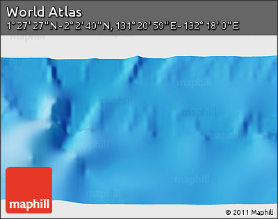 Physical 3D Map of the Area around 1° 45' 3" N, 131° 49' 29" E