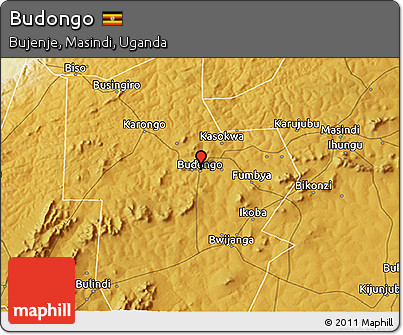 Physical 3D Map of Budongo