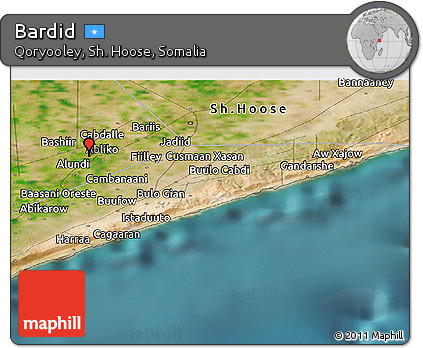 Satellite Panoramic Map of Bardid