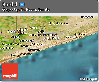 Satellite Panoramic Map of Bardid