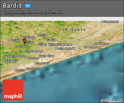 Satellite Panoramic Map of Bardid