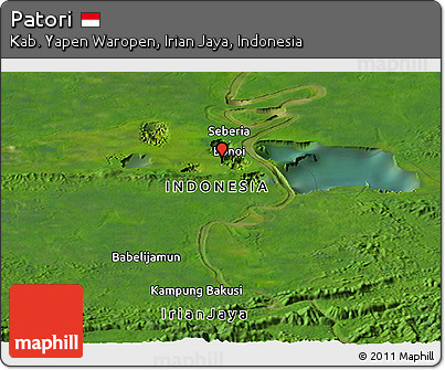 Satellite Panoramic Map of Patori