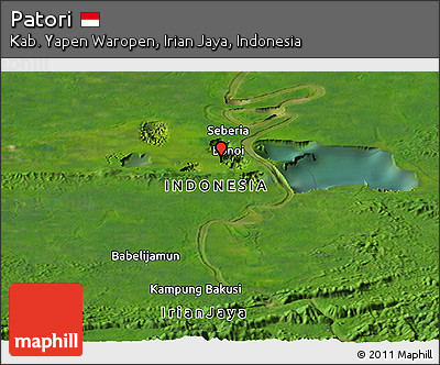Satellite Panoramic Map of Patori