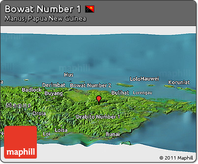 Satellite Panoramic Map of Bowat Number 1