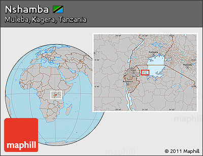 Gray Location Map of Nshamba