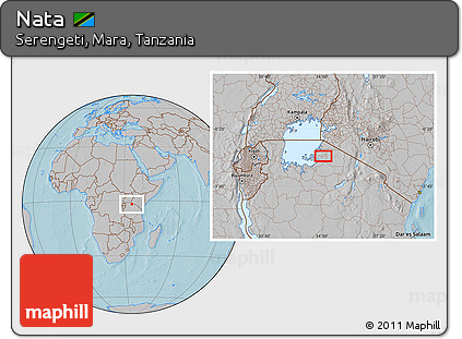 Gray Location Map of Nata, hill shading