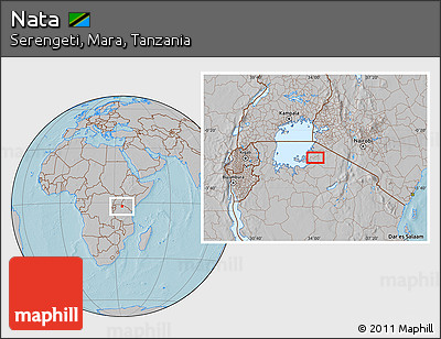 Gray Location Map of Nata, hill shading