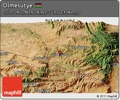 Satellite Panoramic Map of Olmesutye