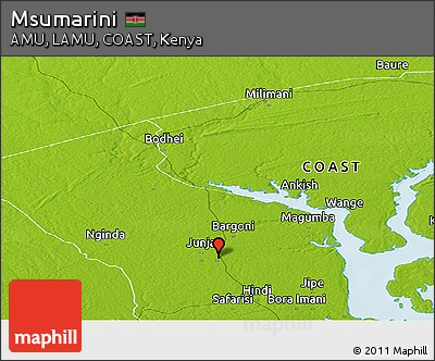 Physical Panoramic Map of Msumarini