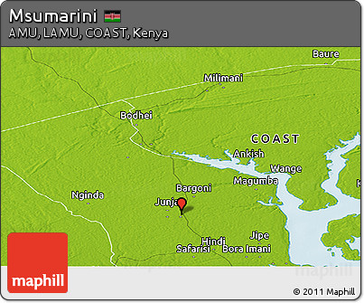 Physical Panoramic Map of Msumarini