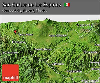 Satellite 3D Map of San Carlos De Los Espinos