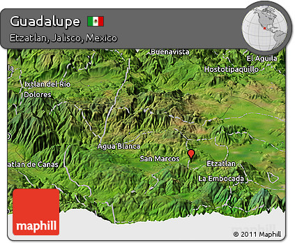Satellite Panoramic Map of Guadalupe